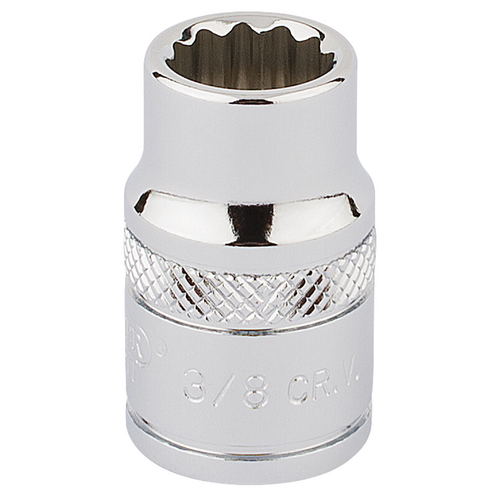 Draper Draper 3/8" Square Drive Hi-Torq 12 Point Socket (3/8") 49017