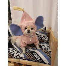 (S, G) Winter Dog Hoodies & Warm Coats for Puppies & Pets: Cotton Jacket & Sweater Size inch Circle Neck for Secure Fit