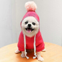 (XXL, C) Winter Dog Hoodies & Warm Coats for Puppies & Pets: Cotton Jacket & Sweater Size inch Circle Neck for Secure Fit