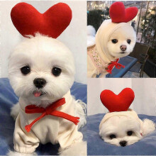 (XXL, I) Winter Dog Hoodies & Warm Coats for Puppies & Pets: Cotton Jacket & Sweater Size inch Circle Neck for Secure Fit