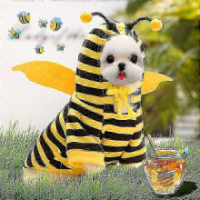 (S, F) Winter Dog Hoodies & Warm Coats for Puppies & Pets: Cotton Jacket & Sweater Size inch Circle Neck for Secure Fit
