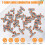 30PCS T Shape Lever Nut Wire Connector, Quick Splitter 3 Way Electrical Connectors 7