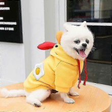 (XS, B) Winter Dog Hoodies & Warm Coats for Puppies & Pets: Cotton Jacket & Sweater Size inch Circle Neck for Secure Fit