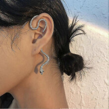 Simple Retro Earrings Snake-shaped Personalized Earrings Without Pierced Ears 2pcs