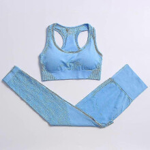 (S, Blue 2pcs22) 2 Piece Set Women Workout Clothing Gym Yoga Set Fitness Sportswear Crop Top Sports Bra Seamless Leggings Active Wear Outfit Suit C
