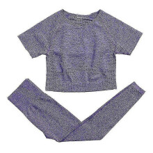 (S, Purple 2pcs31) 2 Piece Set Women Workout Clothing Gym Yoga Set Fitness Sportswear Crop Top Sports Bra Seamless Leggings Active Wear Outfit Suit C