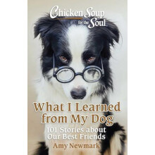 Chicken Soup for the Soul What I Learned from My Dog by Amy Newmark Pa