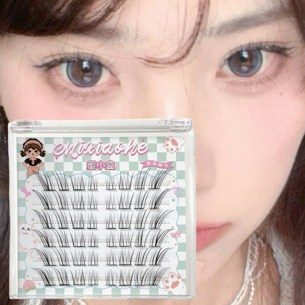 Roc-Electron Sensitive Eyes-Friendly Natural False Eyelashes