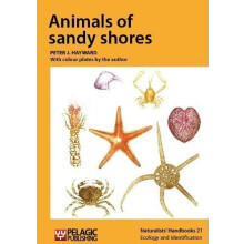 Animals of sandy shores by Peter J. Hayward Paperback Book