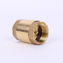 (DN25) Diesel Fuel One-Way Check Valve - Wear Resistant