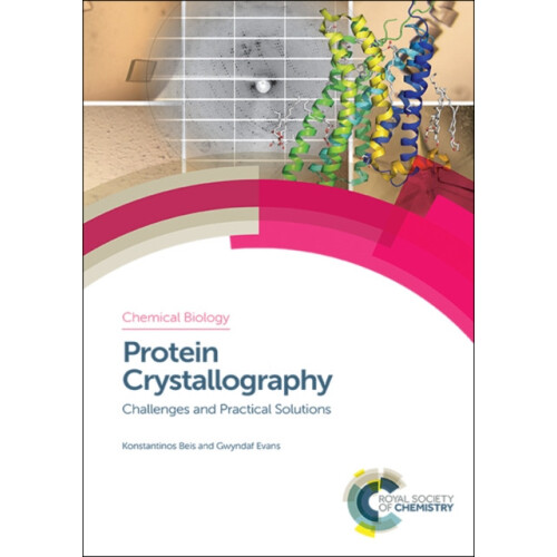 Protein Crystallography Challenges and Practical Solutions Hardcover B