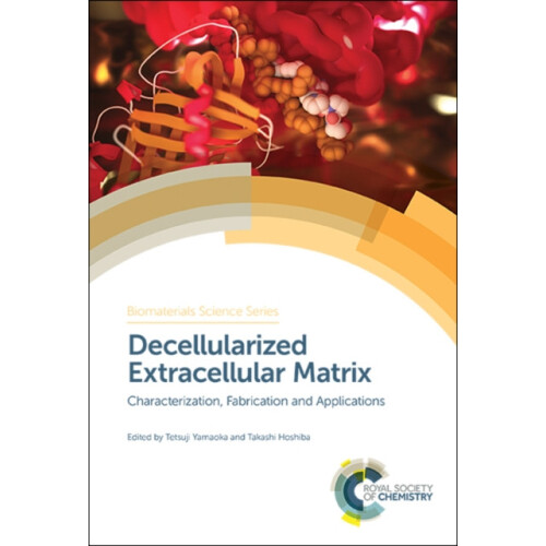 Decellularized Extracellular Matrix Characterization Fabrication and A