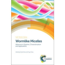 Wormlike Micelles Advances in Systems Characterisation and Application