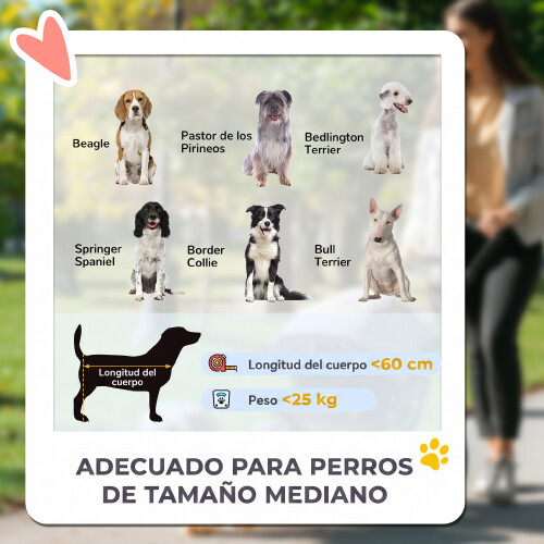 PawHut Carrito para Perro Gris 124 x 67 x 100 cm 2