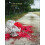 I Love It Though by Alli Warren Paperback Book 1