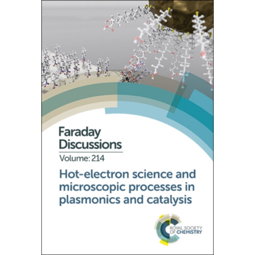 Hotelectron Science and Microscopic Processes in Plasmonics and Cataly