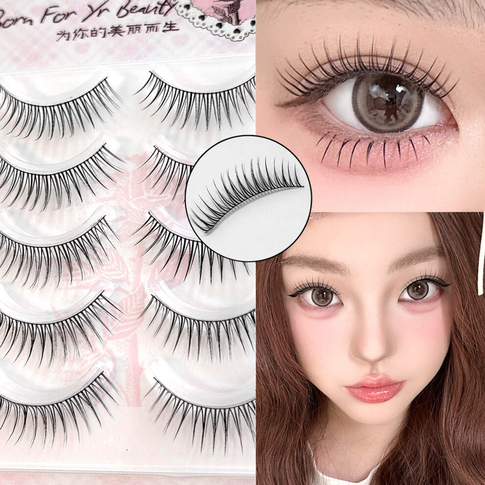 Roc-Electron Natural Asian False Eyelashes, Reusable For Daily Use