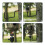 Trail Camera Tree Mount: 360 Degrees Adjustable Game Camera Mount with 1/4 Inch Screw, Easy Installation 2 Pack 5