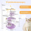 Multi-Level Cat Tree Set (2-Piece) – 3-Tier Scratching Tower & 158 cm Moon Platform Tree 5