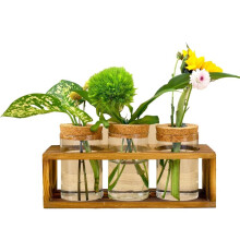 Förökningsstation, Glasplanterrarium för Växtskärning,Förbättrar HomeDcor,Perfekt Inomhuscentrum för Växtälskare