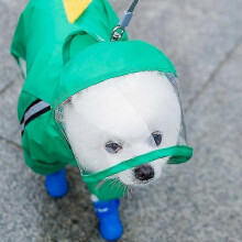 2025 Nieuwe regenjas voor kleine honden, waterdicht, all-inclusive teddyponcho, regenjas voor huisdieren, geschikt voor klein