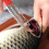 Sharp Fish Scale Remover for Chefs - 50 chars 7