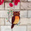 (2) Colorful Hummingbird Owl Wall Hanging Decor 1