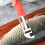Sharp Fish Scale Remover for Chefs - 50 chars 5