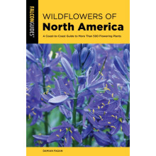Wildflowers of North America by Damian Fagan Paperback Book