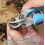 Escargot Tail Remover, Multi-functional No slippage Field Snail Scissors 2
