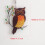 (2) Colorful Hummingbird Owl Wall Hanging Decor 4