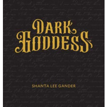 Dark Goddess An Exploration of the Sacred Feminine by Shanta Lee Gande