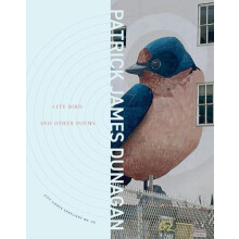 City Bird and Other Poems City Lights Spotlight Series No 24 by Patric