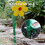 Dancing Daisy Sprinkler, Crazy Daisy Sprinkler, Plenvanningssprøyte 4
