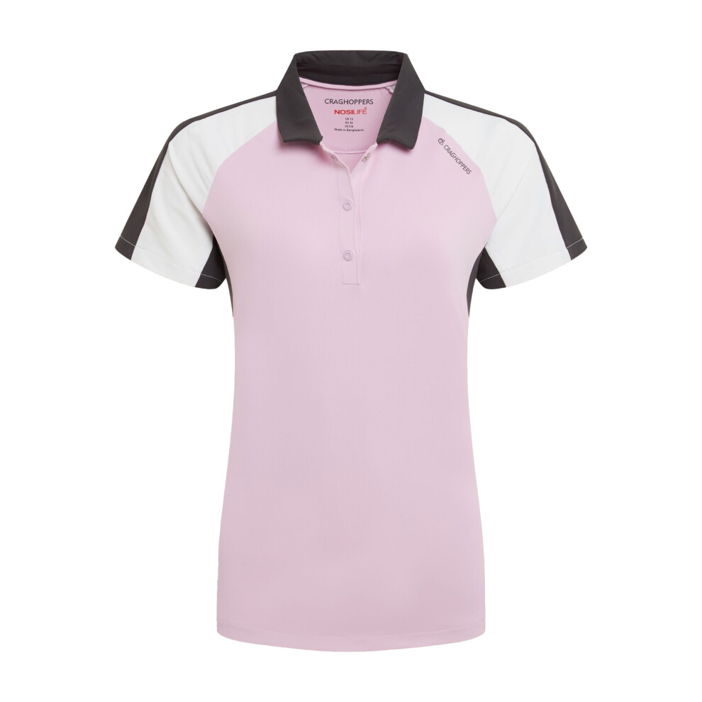 Craghoppers (10 Uk, Orchid/White) Womens/Ladies Hazelmere Nosilife Short-Sleeved Golf Polo Shirt