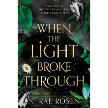 When the Light Broke Through by N. Rae Rosen Hardcover Book