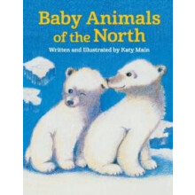 Baby Animals of the North by Katy Main Paperback Book