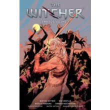 Witcher Omnibus Volume 3 by Nataliia Rerekina Paperback Book