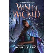 Wish of the Wicked by Danielle Paige Paperback Book