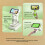 Microscópio Infantil 1600X com Tela LCD de 4 Polegadas, Portátil e de Mesa, Iluminação LED para Educação. Microscópio Digital Infantil B 10