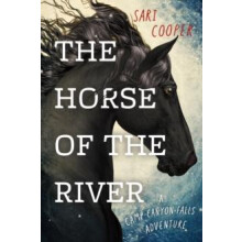 The Horse of the River A Camp Canyon Falls Adventure by Sari Cooper Pa
