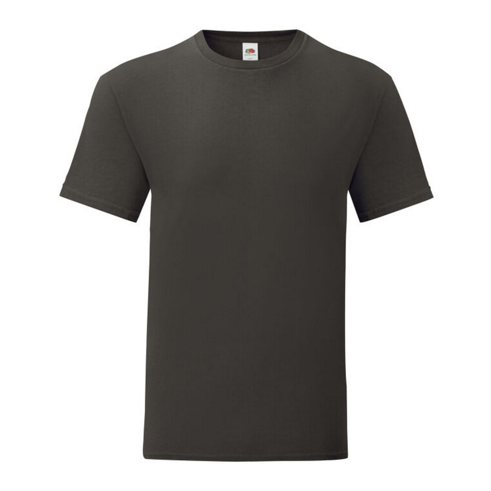 Fruit Of The Loom (M, Light Graphite) Mens Iconic 150 T-Shirt