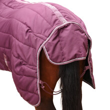 (4', Burgundy) Shires Tempest Original 300 Combo Neck Horse Combo Rug