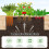 Jardinera elevada de madera con 2 jardineras, 228 x 62 x 25 cm 5