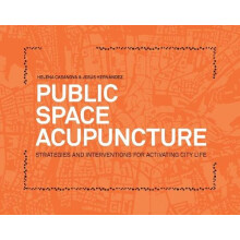 Public Space Acupuncture Paperback Book