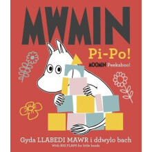 Mwmin PiPo Moomin Peekaboo Other Book