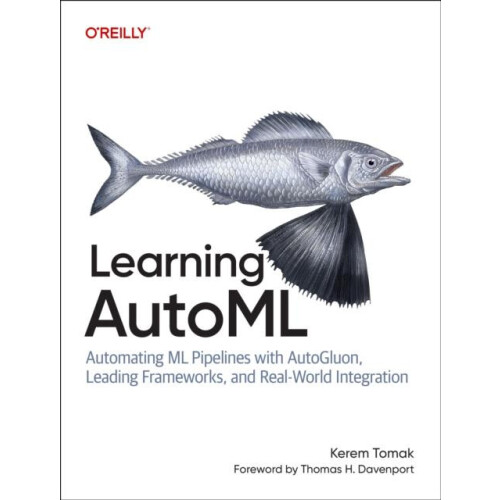 Learning Automl by Kerem Tomak Paperback Book