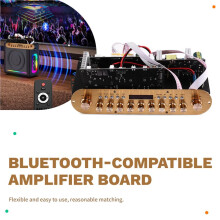 -Compatible Amplifier Board with Sound Radio Subwoofer for Karaoke Home EU PLUG