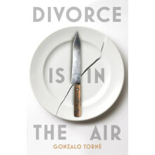 Divorce is in the Air by Gonzalo Torne Paperback Book