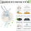 Activated Carbon Filter for Cat Water Fountain, Multi-Filtration System Replacement 5